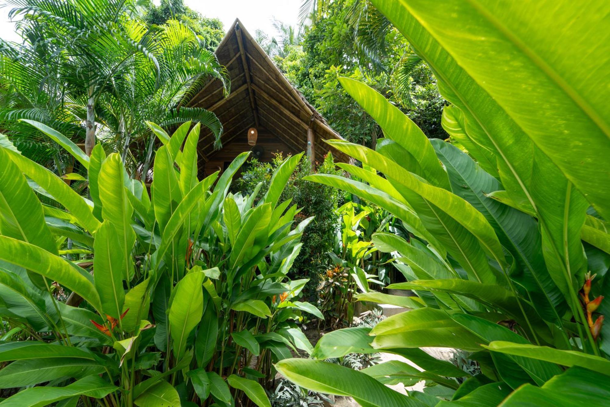 Bamboo Bay Eco Resort Srithanu Luaran gambar